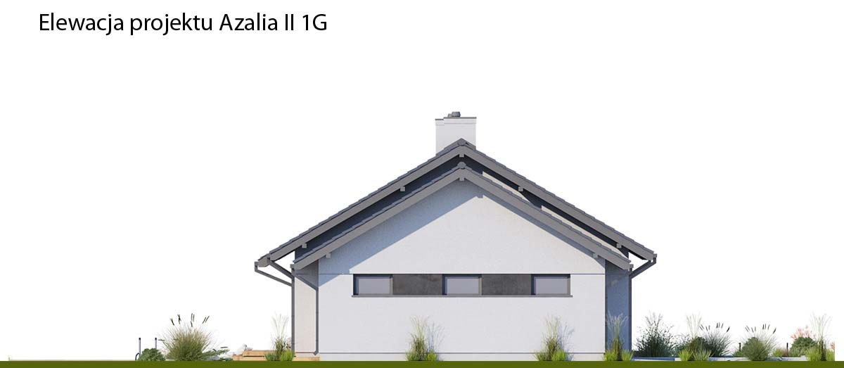 Azalia II 1G A