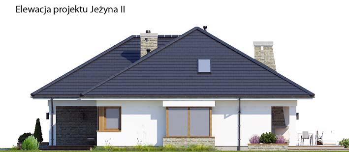 Jeżyna II A